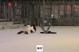 注意！沈阳明晚（2月6日）有雪！
本周最低气温均在-20℃以下视频封面