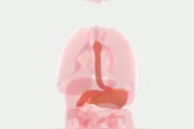 医学生发出尖锐爆鸣 #新游鉴赏家视频封面