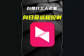 向日葵远程软件，我愿称之为打工人神器#向日葵远程软件#远程软件#装机必备#实用电脑技巧视频封面