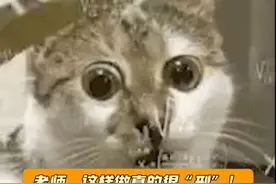 老师，你这教的有点太全面了！！！