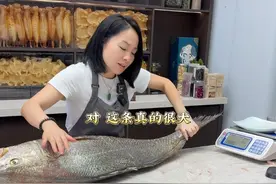 本港野生赤嘴鳘取胶。#鱼胶 #花胶 #养生滋补 #鱼胶图鉴视频封面