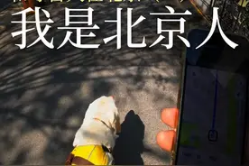 这次广州到北京跨越2100多公里，和导盲犬阿尔法逛北京胡同2000米的过程，让我体验了不一样“老北京”味儿#视障 #导盲犬阿尔法 #无障碍出行 #北京的温暖 #我是北京人视频封面