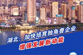 湖北：加快培育独角兽企业 增强发展新动能 出台支持培育发展独角兽企业《若干措施》，塑造湖北发展新动能新优势。视频封面