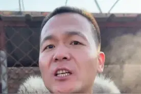 潘宏将母狗卖给狗肉车或违法：狗肉销售的经营者，需办理营业执照视频封面