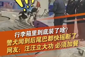 近日，重庆江北机场海关在对进境航班进行监管时发现一件行李存在异常，警犬闻到后异常兴奋。经开箱查验，现场关员在该行李箱内发现6袋肉制品，包括冷冻牛肉、牛肚、羊肉等，重18.68千克。海关已依法对该批肉类制品作截留销毁处理。视频封面