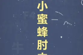 十万个梗百科：小蜜蜂肘击 #小蜜蜂肘击 #抽象 #沙雕视频封面