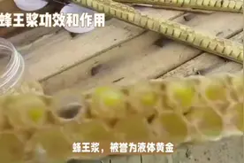 蜂王浆的功效和作用有那些？为什么被称为“液体黄金”视频封面
