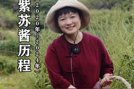 紫苏全身都是宝 关注我的朋友，你是从哪一年的紫苏视频关注我，这几年我不断深耕紫苏，让更多朋友了解紫苏、喜欢紫苏#紫苏酱#紫苏视频封面