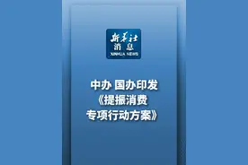新华社消息｜中办、国办印发《提振消费专项行动方案》视频封面