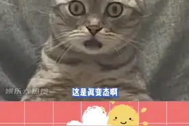 这怎么想的啊！#真实故事 #离谱 #日本 #高考视频封面