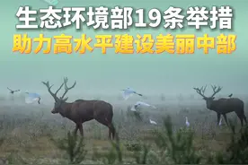 新华社消息｜生态环境部19条举措助力高水平建设美丽中部视频封面