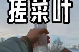 即使拿着“尚方宝剑”也逃不过这顿顿的5颗大白菜，你受得了吗？ #冰溜子 #我的乡村生活 #白菜炖粉条 #乡愁记忆 #新农人计划2023视频封面