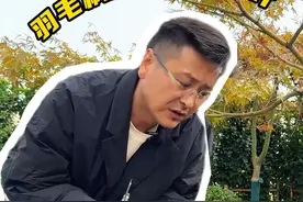 分享一下羽毛枫如何正确摘叶#花卉绿植 #花园设计 #江文景观