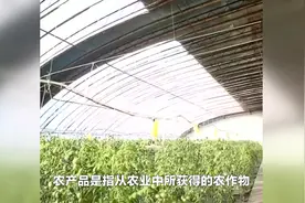 #农产品 是指从#农业中所获得的农作物视频封面