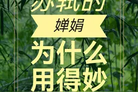 但愿人长久千里共婵娟，苏轼的婵娟没那么简单！ #千里共婵娟 #婵娟 #苏轼 #但愿人长久 #中秋视频封面