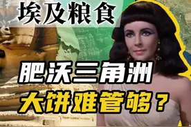 埃及为何从“帝国粮仓”变成了“粮食进口王”？【百国千城】视频封面