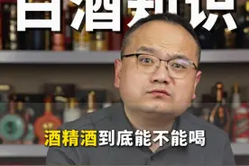 酒精酒到底能不能喝？兄弟们都来说说 #好酒推荐 #酒知识科普 #白酒 #酒文化 #故事与酒视频封面