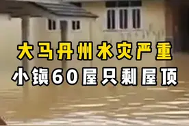 大马丹州水灾严重小镇60屋只剩屋顶 #新加坡 #马来西亚 #水灾 #自然灾害 #安全视频封面