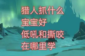 魔兽世界硬核模式猎人抓什么宝宝好，低吼和撕咬在哪里学