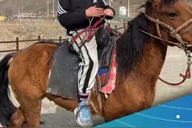 新疆小朋友骑马炫技 #新疆 #骑马 #炫技视频封面
