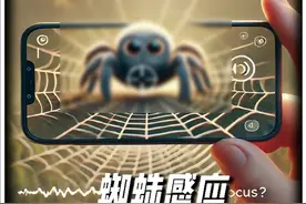 为什么戳手机屏幕时，蜘蛛像是被戳了一样 #蜘蛛感应