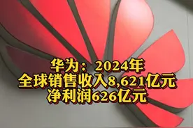 华为：2024年全球销售收入8,621亿元 净利润626亿元@抖音财经视频封面