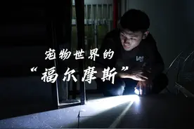 宠物侦探，这是一个帮助丢失宠物的人们找回宠物的职业视频封面