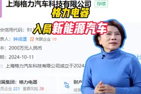格力电器也要造车？！格力入局新能源汽车！ #格力 #造车新势力视频封面