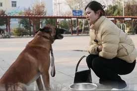 被后妈赶出去的狗狗 每个孩子都希望有一个温暖的家庭，狗狗也不例外。亮仔不在家马户和奶奶被后妈欺负，还好亮仔及时赶回家做出了正确的选择。#萌宠出道计划 #神奇动物在抖音#动物的迷惑行为 #忠犬马户视频封面