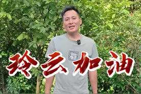 玲云父亲用肩膀扛起了这个六口之家希望两姊妹在学校更加发奋图强 #助学 #微光点亮乡村 #宁乡建伢子视频封面