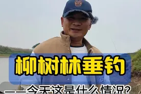枊树林垂钓，今天这是什么情况？ 好消息，钓鱼佬的春天来了，环境优美，每天这里钓鱼的人比鱼还多，关注军哥，分享钓点位置！#原来钓鱼才是抖音运动顶流 #鲫鱼饵料 #冬天钓鱼技巧 #号召鲫视频封面