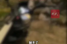 无锡一男子放狗撕咬橘猫，社区正核实情况。视频封面