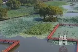 强力推进内源生态修复 再造洪湖生态系统 #人与环境和谐共生 #自然生态#洪湖湿地  #荆州 @虎座鸟视频封面