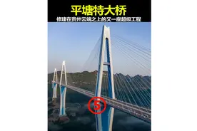 如何在近300米的高空安装平塘特大桥斜的钢索？ #施工现场实拍