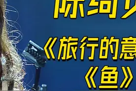 外国音乐人如何评价文艺女神陈绮贞 #陈绮贞 #陈绮贞旅行的意义 #华语乐坛 #外国人反应 #神级现场视频封面