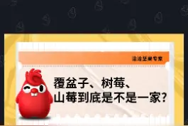 覆盆子、树莓、山莓到底是不是一家？#洽洽坚果专家 #覆盆子树莓 #冷知识 @DOU+小助手 @抖音短视频 视频封面