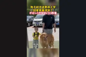 狗子初次送男孩上学，回家竟崩溃哭了，才过1小时就趴门口盼着视频封面