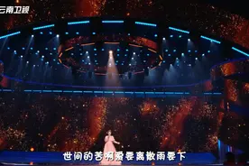 #2025云南春晚 歌曲《人世间》视频封面