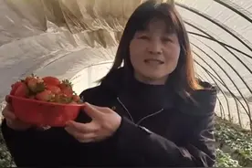 不仅是甜果也是“致富”果!女子创业种草莓 赢得大丰收！视频封面