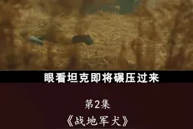 苏军自爆犬3进3出，炸完坦克炸火车 #每日推荐电影 #影视解说 #电影片段剪辑 #我的观影报告 #我在抖音看电影视频封面