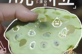 早在明代，就有诗句“垂首劈莲子”，描述了融合技巧与力量的莲子去壳技艺！江西广昌莲农代代相传的宝贵技艺，离不开这个剥莲子的利器！#农耕探文明视频封面