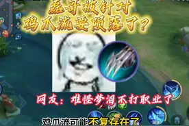 网友：“难怪梦泪没打职业了，原来是信誉分不够了” #磊哥视频封面