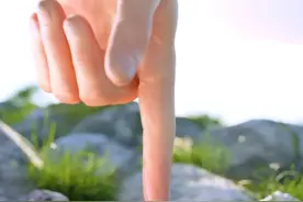 第150集丨种子是如何成长为大树的? #植物生长过程 #万物生长 #大自然 #科普知识 #内容启发搜索