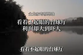 美女老板神招，400平台球厅月入百万！#商业思维 #商业模式视频封面