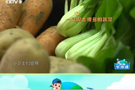 《奇妙节水课》奇妙实验室丨哪种清洗果蔬的方式更节水？ 《奇妙节水课》奇妙实验室丨哪种清洗果蔬的方式更节水？#奇妙节水课 #走进奇妙节水课争当节水小卫士视频封面