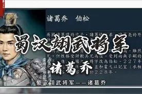 诸葛亮的继子，蜀汉翊武将军——诸葛乔 #三国杀 #历史人物故事视频封面