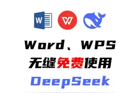 在Word、WPS中无缝、免费使用DeepSeek 这才是在Word、WPS中无缝视频封面