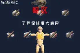 暗区，子弹保姆级大横评（5级，肉蛋） #暗区突围 #暗区突围教学