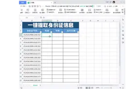 80%的人都不知道一键提取身份证号码信息的方法视频封面