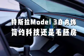 简约科技还是毛胚房：特斯拉Model 3 2024内饰评价 朋友们好视频封面